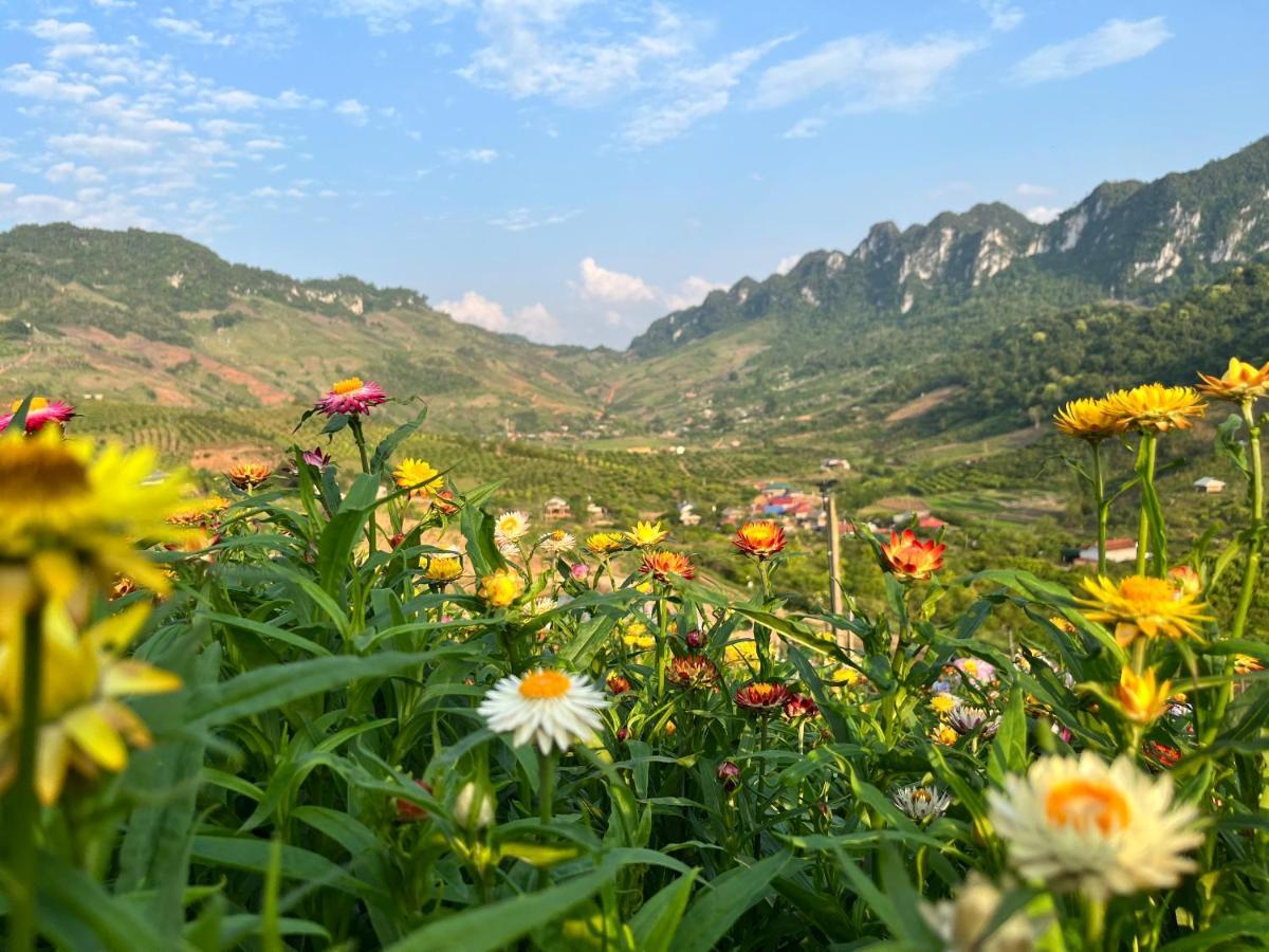Muong Sang Farmstay 목쩌우 외부 사진