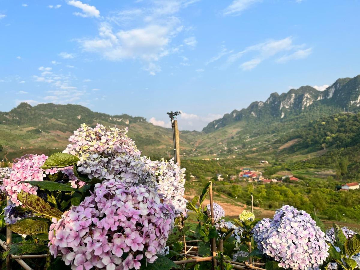 Muong Sang Farmstay 목쩌우 외부 사진