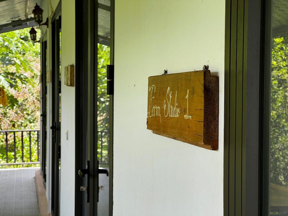 Muong Sang Farmstay 목쩌우 외부 사진