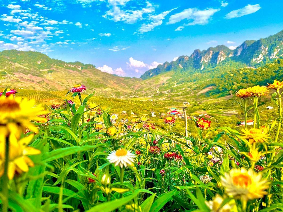 Muong Sang Farmstay 목쩌우 외부 사진