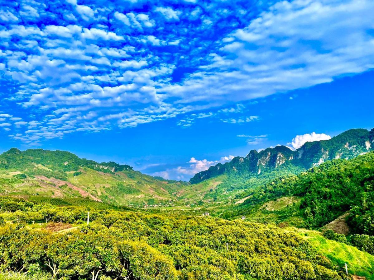 Muong Sang Farmstay 목쩌우 외부 사진